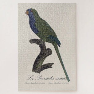 Puzzle La Perruche souris / Monk Parakeet