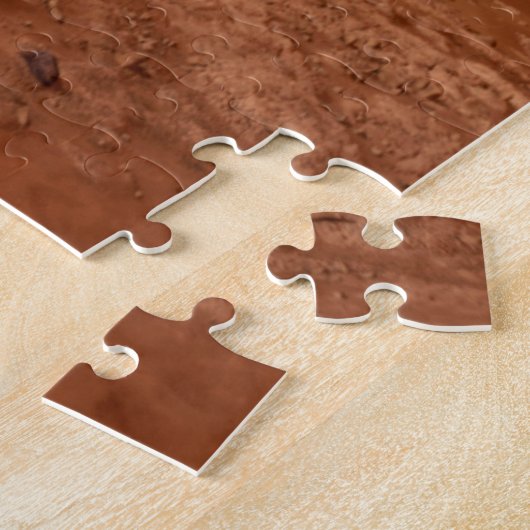 Puzzle La Persévérance Arrive En Toute Sécurité Sur Mars. (Côté)