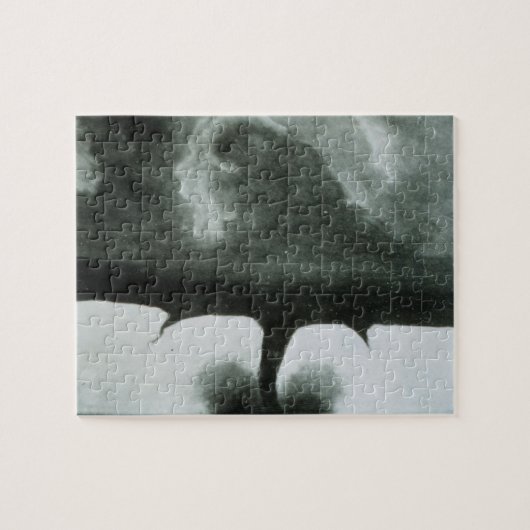 Puzzle La photographie connue la plus ancienne d'une (Horizontal)