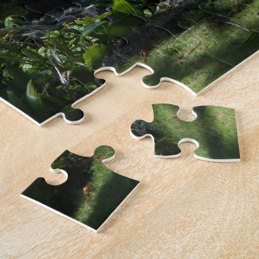 Puzzle La plage de sable noir d'Hawaii (Côté)