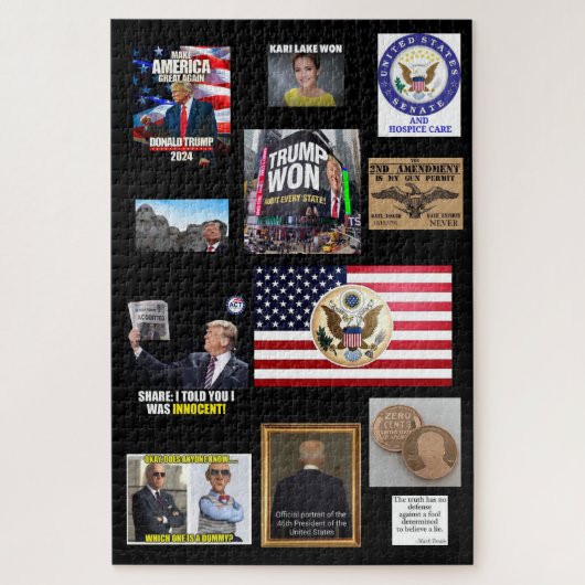 PUZZLE LA POLITIQUE AMÉRICAINE EST DEVENUE HAYWIRE 2 (Vertical)