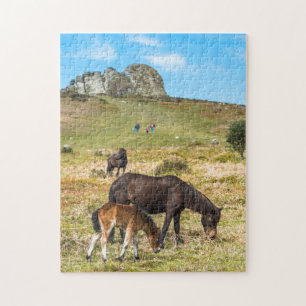 Puzzle La roche de Pony Haytor dans le parc national de D