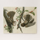 Puzzle La veuve de Chuck-will - Les oiseaux d'Amérique d' (Horizontal)
