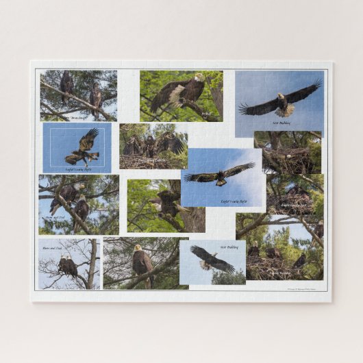 Puzzle La vie familiale de l'aigle (Horizontal)