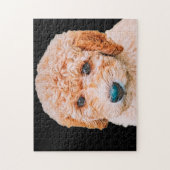 Puzzle Labradoodle Chiot (Vertical)