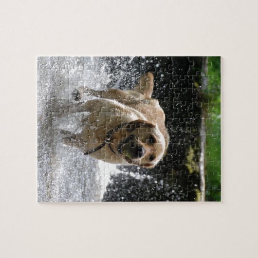 Puzzle Labrador (Horizontal)