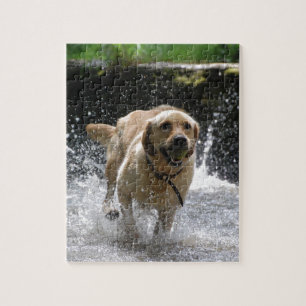 Puzzle Labrador