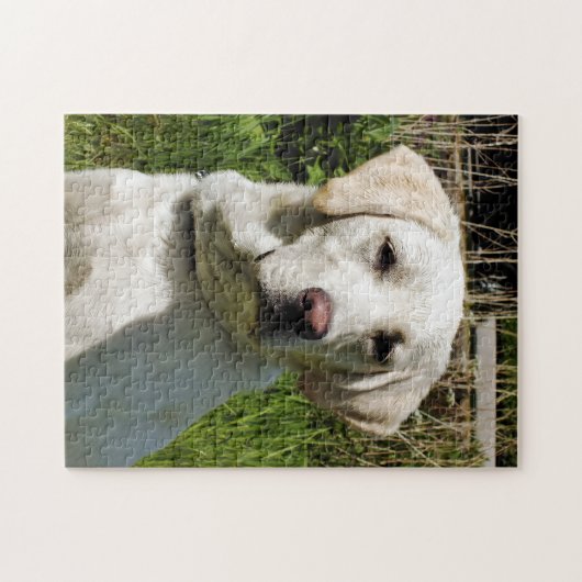 PUZZLE LABRADOR DOG (Horizontal)