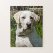 PUZZLE LABRADOR DOG (Vertical)