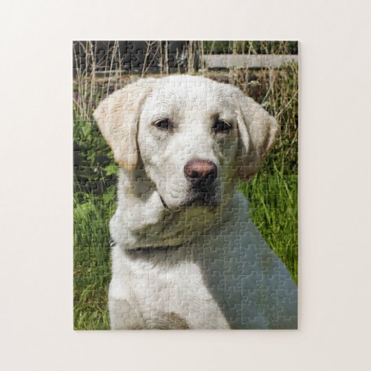 PUZZLE LABRADOR DOG (Vertical)