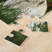 Puzzle Labrador jaune (Côté)
