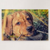 Puzzle Labrador Puppy (Horizontal)