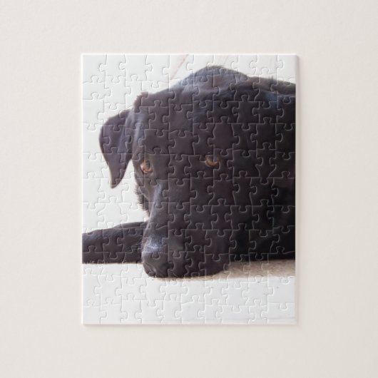 Puzzle labrador retriever (Vertical)