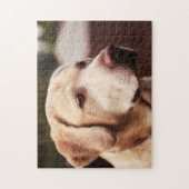 Puzzle Labrador Retriever (Vertical)