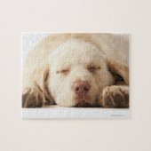 Puzzle Labrador retriever jaune (Horizontal)