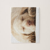 Puzzle Labrador retriever jaune (Vertical)