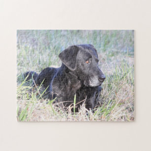 Puzzle Labrador retriever noir
