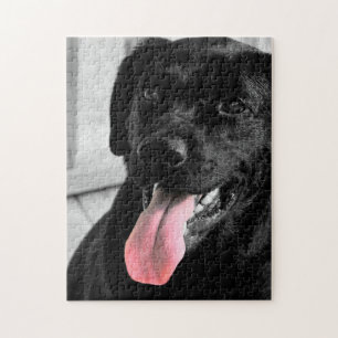 Puzzle Labrador retriever noir