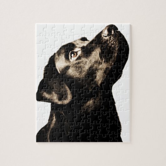 Puzzle Labrador retriever noir impressionnant (Vertical)