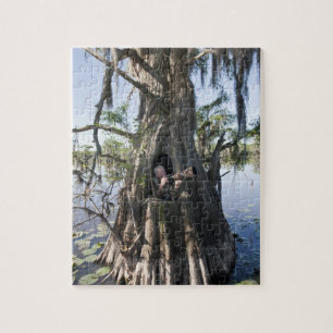 Puzzle Lac Caddo, aveugle de chasse