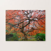 Puzzle Laceleaf Maple sur Foggy Automne Matin à Portland (Horizontal)