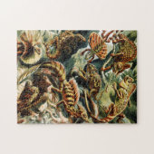 Puzzle Lacertilia Lizards par Ernst Haeckel (Horizontal)