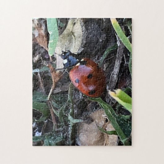 Puzzle Lady Bug (Vertical)