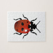 Puzzle Ladybird (Horizontal)