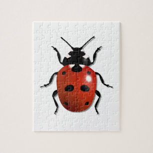 Puzzle Ladybird
