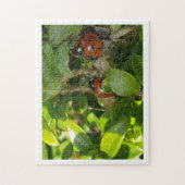 Puzzle Ladybird (Vertical)