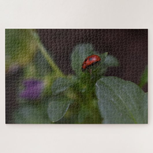 Puzzle Ladybug (Horizontal)