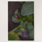 Puzzle Ladybug (Vertical)