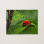 Puzzle Ladybug (Horizontal)