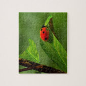 Puzzle Ladybug (Vertical)