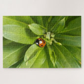 Puzzle Ladybug (Horizontal)