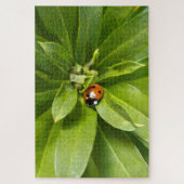 Puzzle Ladybug (Vertical)