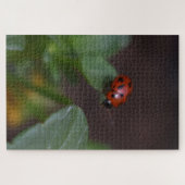 Puzzle Ladybug (Horizontal)