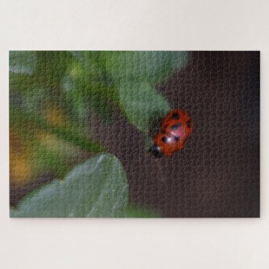 Puzzle Ladybug (Horizontal)