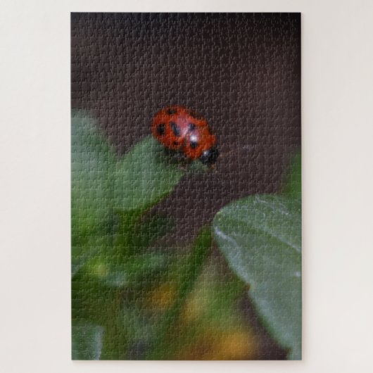 Puzzle Ladybug (Vertical)