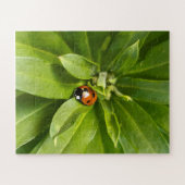 Puzzle Ladybug (Horizontal)