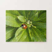 Puzzle Ladybug (Horizontal)