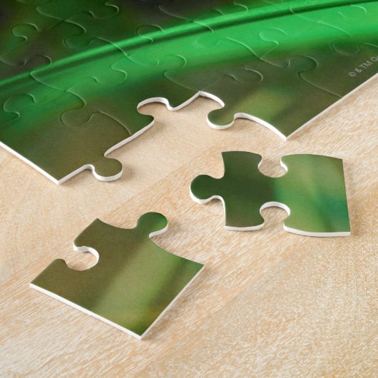 Puzzle Ladybug (Côté)