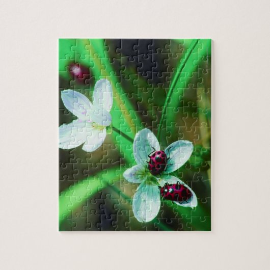 Puzzle Ladybug (Vertical)