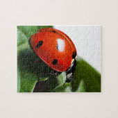Puzzle Ladybug (Horizontal)