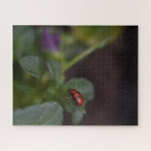 Puzzle Ladybug (Horizontal)