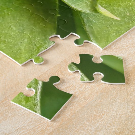 Puzzle Ladybug (Côté)