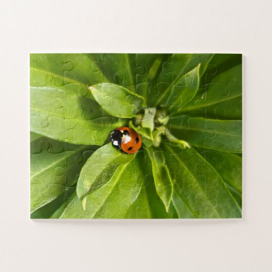 Puzzle Ladybug (Horizontal)