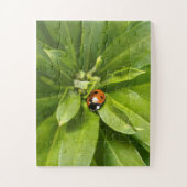 Puzzle Ladybug (Vertical)