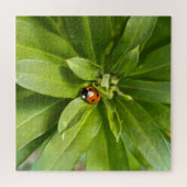 Puzzle Ladybug (Horizontal)