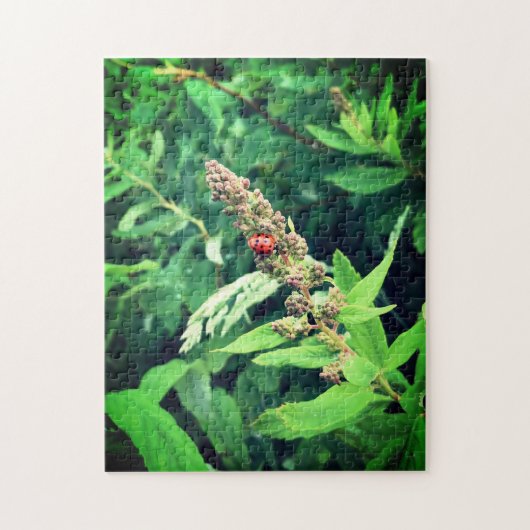 Puzzle Ladybug au printemps (Vertical)